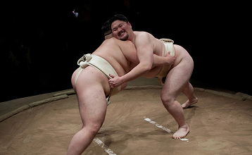 Sumo wrestlers in action
