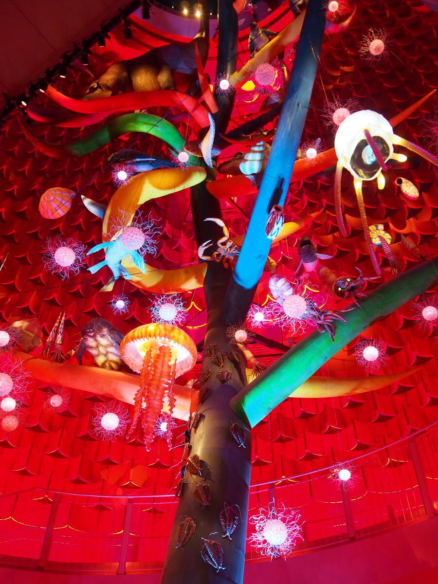 Colourful art installation