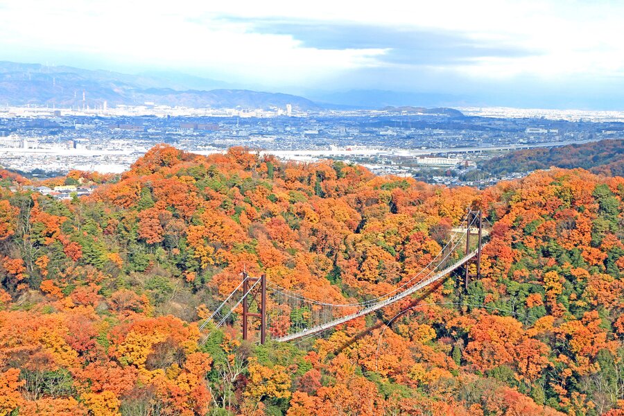 Hoshino Buranko suspension bridge in autumn foliage